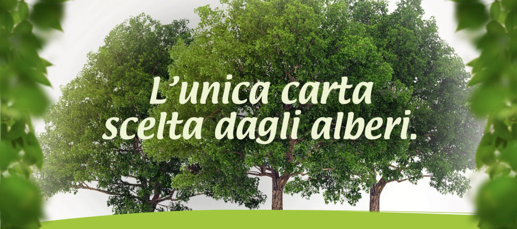 Dai cartoni per bevande Tetra Pak® otteniamo carta igienica